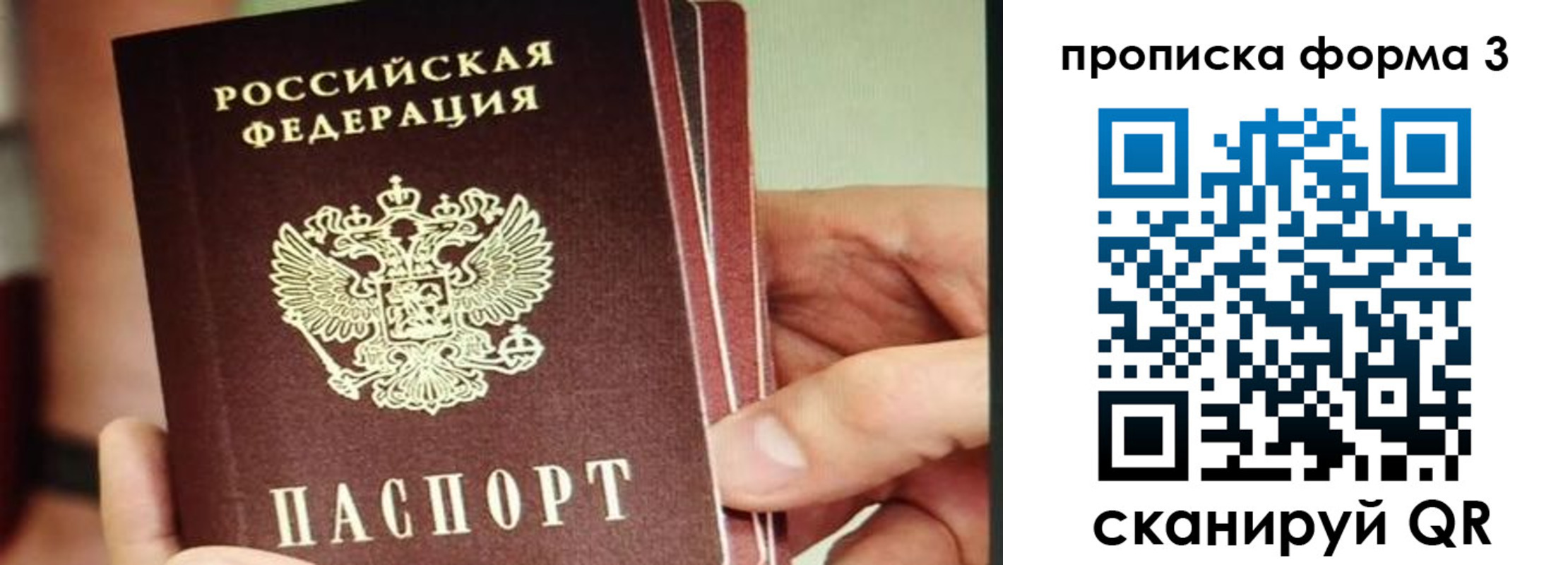 прописка законно в Советской Гавани